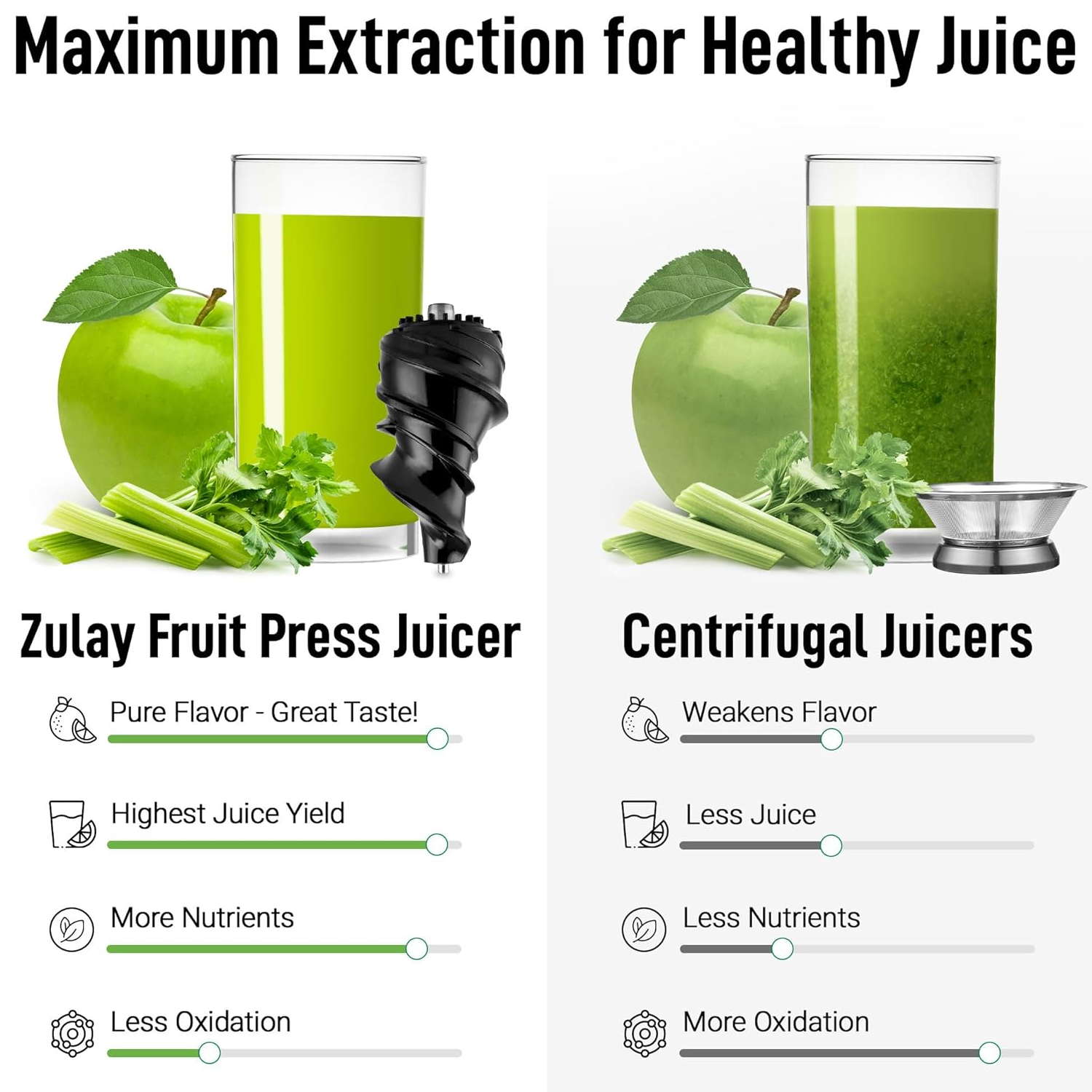 ZK Cold Press Masticating Juicer