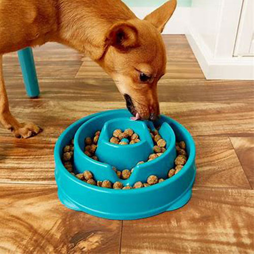 Healthy Slow Feeder Pet Bowl- 3 Colors