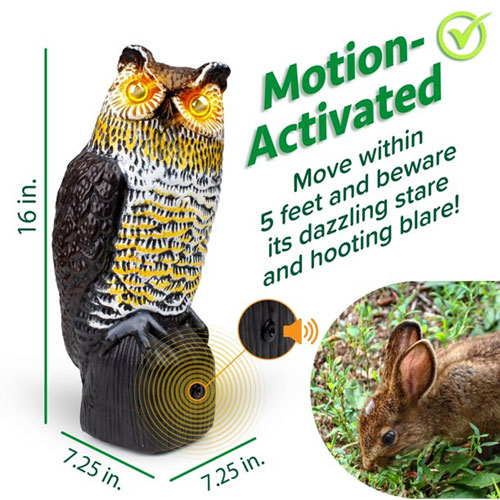 Well Hooty Solar powered  Motion activated Owl