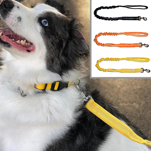 Shock Absorber-Night Reflective Bungee Leash For Training  Running And Walking